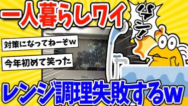 【2ch面白キッチン】【2ch面白いスレ】一人暮らしワイ、お風呂の間にレンジで調理や！→大失敗・・・