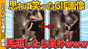 【ゆっくり爆笑図鑑】【面白gif】おもしろgif画像で笑ったら負けww by 2ch【コメ付き】【ゆっくり解説】【2chスレ】【5ch】#179