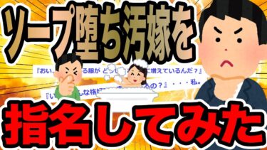 【2chで笑いを叫ぶ】ソープ堕ち汚嫁を指名してみた【2ch修羅場スレ】