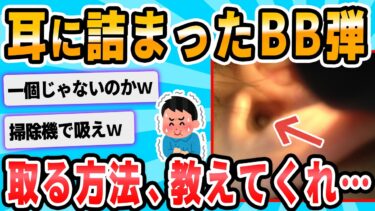 【2chが好きなんだお】【2ch面白いスレ】【助けてくれ】耳にBB弾が詰まった