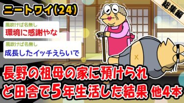 【2ch人情屋台】【朗報】長野の祖母の家に預けられど田舎で5年生活した結果。他4本を加えた総集編【2ch面白いスレ】