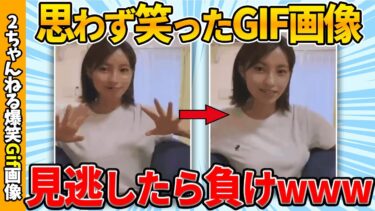 【ゆっくり爆笑図鑑】【面白gif総集編】何度見ても笑えるおもしろgif画像貼りまくれ！ww by 2ch【コメ付き】【ゆっくり解説】【2chスレ】【5ch】#171