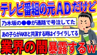 【鉄人28匹ギコ&しぃ】テレビ番組のADを辞めてきたけど質問ある？【2ch面白いスレゆっくり解説】