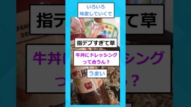 【2chホウソウキョク】【2ch面白いスレ】ワイ、噂の『キング牛丼」に挑むｗｗｗｗ #2ch #スレ #2chスレ