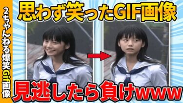 【ゆっくり爆笑図鑑】【面白gif】何度も見れる爆笑gif画像貼りまくれ！ww by 2ch【コメ付き】【ゆっくり解説】【2chスレ】【5ch】#175