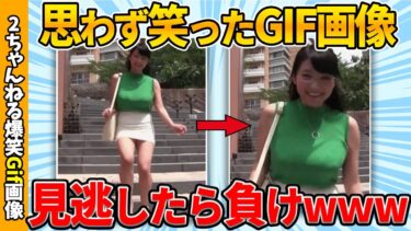 【ゆっくり爆笑図鑑】【面白gif30選】何度でも笑えるgif画像集めたぞww by 2ch【コメ付き】【ゆっくり解説】【2chスレ】【5ch】#168