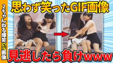 【ゆっくり爆笑図鑑】【爆笑gif30連発】思わず笑ったgif画像が面白すぎたww by 2ch【コメ付き】【ゆっくり解説】【2chスレ】【5ch】#167