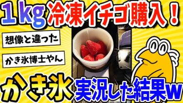 【2ch面白キッチン】【2ch面白いスレ】1kg冷凍イチゴ購入！かき氷作るやで～ｗｗｗ