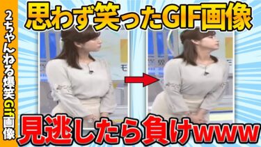 【ゆっくり爆笑図鑑】【面白gif30連】何度でも笑える爆笑gif画像ww by 2ch【コメ付き】【ゆっくり解説】【2chスレ】【5ch】#174