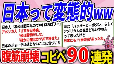 【2chウサバラ】日本が想像以上に変態的だったwww腹筋崩壊コピペ90連発！