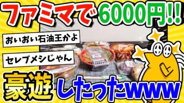 【2ch面白キッチン】【2ch面白いスレ】ファミマで6000円使う豪遊したったwww