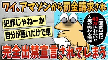 【なんJ民の巣窟】【2ch面白スレ】ワイ、Amazonに40万請求された上に完全出禁になり快適な通販ライフが終わる【ゆっくり解説】