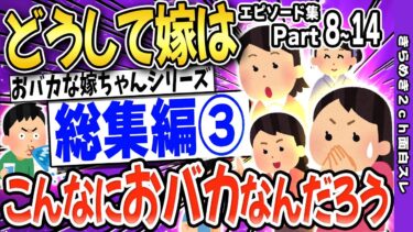 【きらめき2ch】【2ch面白いスレ】【総集編③】どうして嫁はこんなにおバカなんだろう【ゆっくり解説】Part⑧～⑭