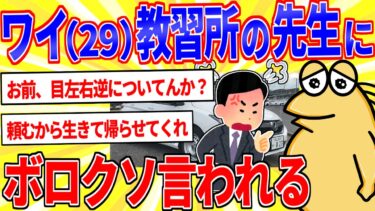 【鉄人28匹ギコ&しぃ】ワイ（29）教習所の先生に言われたことで打線組んだ【2ch面白いスレゆっくり解説】