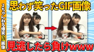 【ゆっくり爆笑図鑑】【面白gif30連発】厳選したおもしろgif画像で笑ったら寝ろ！ww by 2ch【コメ付き】【ゆっくり解説】【2chスレ】【5ch】#176