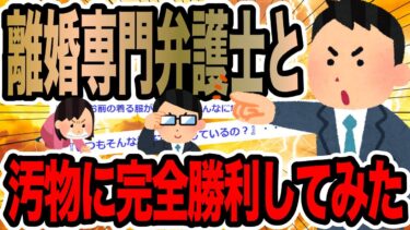 【2chで笑いを叫ぶ】離婚専門弁護士と汚物に完全勝利してみた【2ch修羅場スレ】