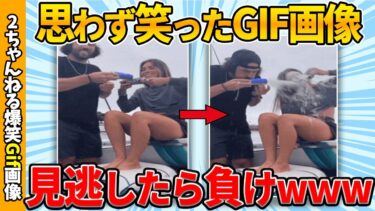 【ゆっくり爆笑図鑑】【おもしろgif総集編】何度でも見れるgif画像集ww by 2ch【コメ付き】【ゆっくり解説】【2chスレ】【5ch】