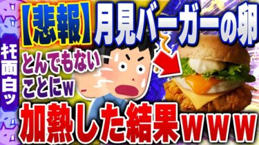 【ハチとオシン 】【ｷﾓ面白い2chスレ】【悲報】月見バーガーやコンビニ弁当の卵を加熱した結果ｗｗｗｗｗｗ【ゆっくり解説】