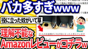 【転2チャ】【2ch面白いスレ】最近のAmazonレビューの内容が酷すぎるｗｗｗ【ゆっくり解説】