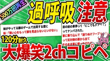 【2chウサバラ】【大総集編】暇で退屈な夜はこれみて無心で笑っとけ！500万人が笑った 120分耐久の腹筋崩壊コピペ468連発！