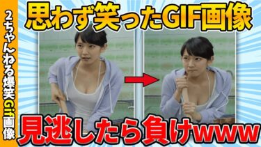 【ゆっくり爆笑図鑑】【2chおもしろgif】思わず爆笑したおもしろgif画像ww by 2ch【コメ付き】【ゆっくり解説】【2chスレ】【5ch】#192