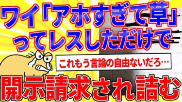 【鉄人28匹ギコ&しぃ】ワイ「アホすぎて草」ってレスしただけで開示請求されて詰む【2ch面白いスレゆっくり解説】