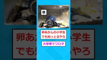 【2chホウソウキョク】【2ch面白いスレ】一人暮らしワイ、レンジを大爆発させてしまう…