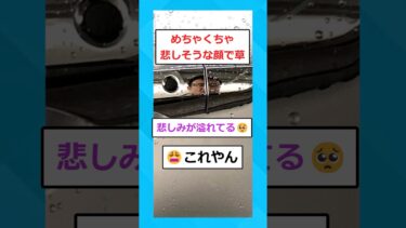 【2chホウソウキョク】【2ch面白いスレ】今日、会社の車ぶつけたんだが助けてくれ…