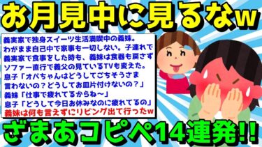 【ゆっくり君の2ch】【2ch面白いスレ】ざまあコピペでストレス発散！スカッと笑えるコピペ14連発！【ゆっくり解説】