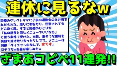 【ゆっくり君の2ch】【2ch面白いスレ】ざまあコピペでスカッとしようぜ！秋晴れのように気分が上がるコピペ11連発！【ゆっくり解説】