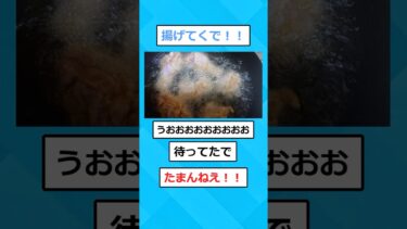 【2chホウソウキョク】【2ch面白いスレ】ワイ「唐揚げ1キロ食う！！」