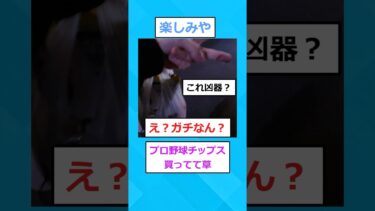 【2chホウソウキョク】【2ch面白いスレ】LINEブロックされたから女の家今向かってる