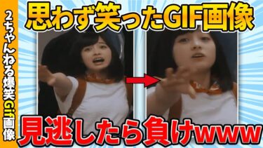 【ゆっくり爆笑図鑑】【面白gif総集編】何度でも見れる爆笑gif画像集めたぞww by 2ch【コメ付き】【ゆっくり解説】【2chスレ】【5ch】