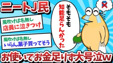 【俺たち天才なんJ民】【悲報】ニートJ民、お使いができず母親を泣かせてしまうｗｗｗ【2ch面白いスレ】【ゆっくり解説】