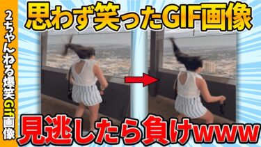 【ゆっくり爆笑図鑑】【面白gif総集編】何度でも見れる面白gif画像集ww by 2ch【コメ付き】【ゆっくり解説】【2chスレ】【5ch】#186