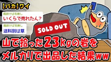 【2chおバカ問題児】【バカ】山で拾った23kgの岩をメルカリで出品した結果ww【2ch面白いスレ】