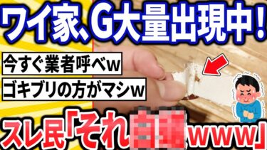 【転2チャ】ワイ「毎日ゴキブリおるなあ･･･」スレ民「ガチヤバいやつで草ｗｗｗ」【2ch面白いスレ】【ゆっくり解説】