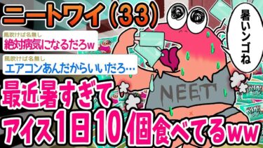 【2chの面白い話題】【2ch面白いスレ】最近暑すぎてアイスを1日10個食べてるんやがwww【ゆっくり解説】【バカ】【悲報】