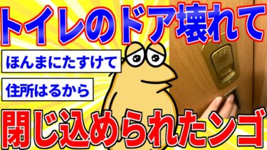 【鉄人28匹ギコ&しぃ】トイレのドアが壊れて閉じ込められたンゴ【2ch面白いスレゆっくり解説】