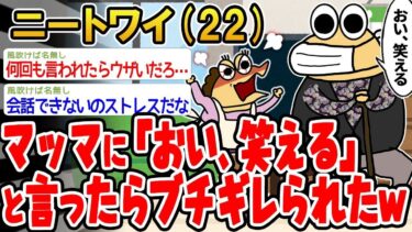 【2chの面白い話題】【2ch面白いスレ】「マッマに『おい、面白い』って言ったら激怒されたんだが、どういうこと？w」【ゆっくり解説】【バカ】【悲報】