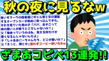 【ゆっくり君の2ch】【2ch面白いスレ】ざまあコピペでスカッと爽快！気分が晴れるコピペ13連発！【ゆっくり解説】