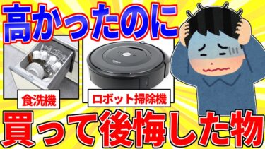 【鉄人28匹ギコ&しぃ】高かったのに買って後悔した物を挙げてけ【2ch面白いスレゆっくり解説】