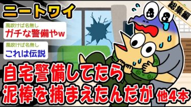 【2chおバカ問題児】【バカ】自宅警備してたら泥棒を捕まえたんだが。他4本を加えた総集編【2ch面白いスレ】