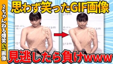 【ゆっくり爆笑図鑑】【面白gif30連発】思わず吹いた爆笑gif画像集ww by 2ch【コメ付き】【ゆっくり解説】【2chスレ】【5ch】#184