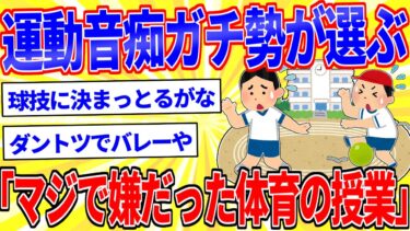 【鉄人28匹ギコ&しぃ】運動音痴ガチ勢が選ぶ『本当に嫌いだった体育の授業』【2ch面白いスレゆっくり解説】