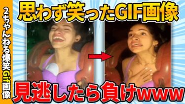 【ゆっくり爆笑図鑑】【面白gif30選】何度でも見れる爆笑gif画像集めたぞww by 2ch【コメ付き】【ゆっくり解説】【2chスレ】【5ch】#185