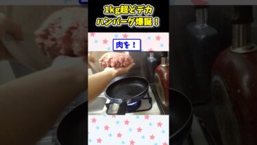 【2ch面白キッチン】【2ch面白いスレ】1kgの超どデカバンバーグ作ったったwwwwww