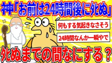 【鉄人28匹ギコ&しぃ】神「お前24時間後にﾀﾋぬわ」←ﾀﾋぬまでの間なにする？【2ch面白いスレゆっくり解説】