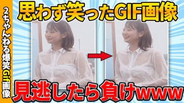 【ゆっくり爆笑図鑑】【2chおもしろgif】何度見ても笑えるおもしろgif画像で笑ったら寝ろww【コメ付き】【ゆっくり解説】【2chスレ】【5ch】#189