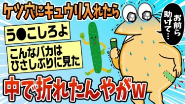 【なんJ民の巣窟】【2ch面白スレ】尻の穴にキュウリ入れたら中で折れたんやがwww【ゆっくり解説】